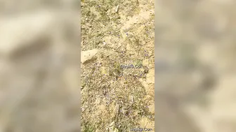 Standing Fuck With My Indian GF Against The Wall
