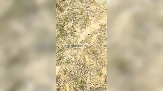 Standing Fuck With My Indian GF Against The Wall