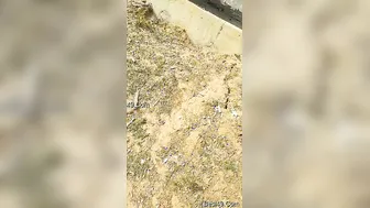 Standing Fuck With My Indian GF Against The Wall