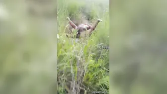Horny Desi Couple Fucking Outdoors Behind The Village Temple