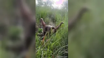 Horny Desi Couple Fucking Outdoors Behind The Village Temple
