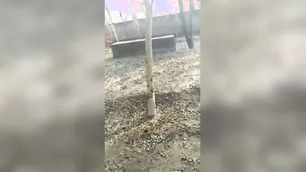 Outdoor Couple Caught Fucking Hard On A Hidden Camera Lens