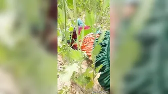 Village Slut Getting Pounded Hard Outdoors By Local Man
