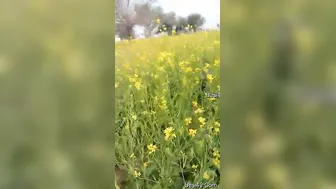 Village Couple Getting Caught Fucking Outside By Neighbors