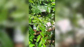 Wild Girl From The Village Riding Her BF Outdoors Hard