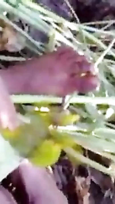 Bangla couples outdoor sex episode to seduce your sex mood