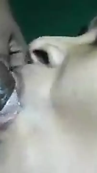 Cum loving Indian girl likes engulfing her boyfriends 10-pounder