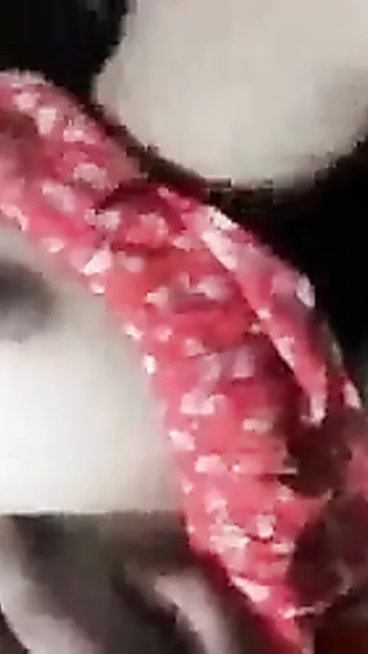 Desi rod fucking Videsi mouth video has arrived here