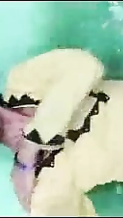 See this Desi maid foreplay sex clip and have a fun shagging