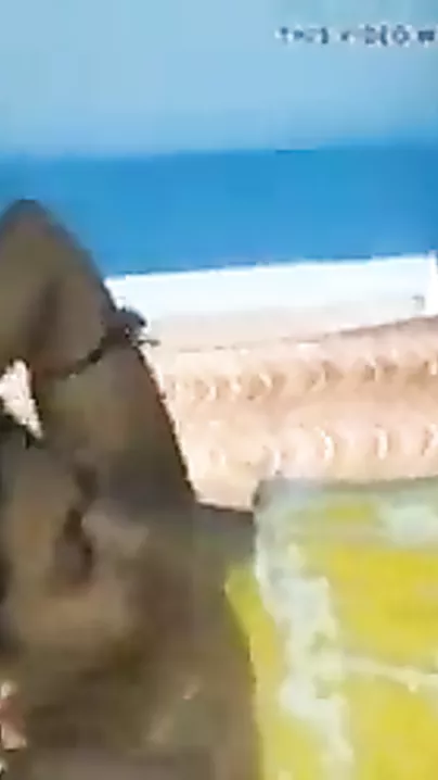 Desi hotty boob engulfing MMS movie scene to tempt your penis