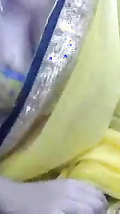 Dhoodwaali Desi Large Mangos girl webcam show
