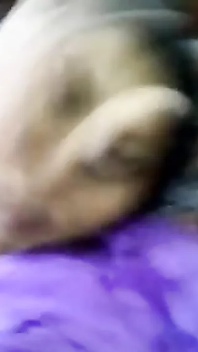 Desi girl waits for boyfriend to fuck her bawdy cleft