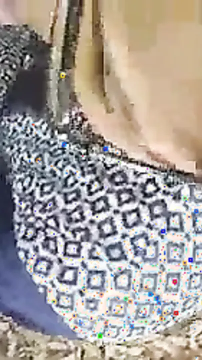 Leaked Roadside Indian Blowjob movie