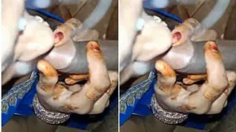 Married Desi Wife Giving Her Man The Best Blowjob At Home Tonight