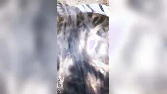 Married Woman Sucking Her Lover's Cock Outdoors In Secret Spot