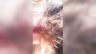 Married Woman Sucking Her Lover's Cock Outdoors In Secret Spot