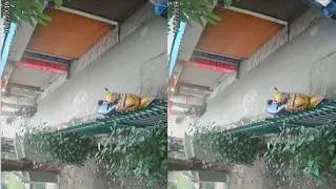 Catching My Neighbors Fooling Around Behind The Building Gate