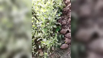 Village Lovers Sneaking Away For Quick Outdoor Fuck Session