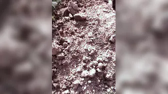 Village Lovers Sneaking Away For Quick Outdoor Fuck Session