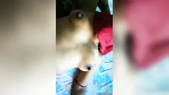 Boudi Riding Devar Hard While Hubby Away Making Him Cum Inside