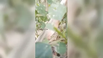 Village Girl Having Outdoor Sex With Her Secret Boyfriend