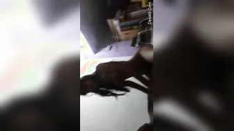 Office Slut Riding Boss Cock In His Cabin After Working Late