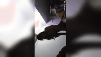 Office Slut Riding Boss Cock In His Cabin After Working Late