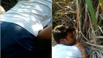 College Lovers Having Risky Outdoor Sex In Private Corner