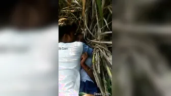 College Lovers Having Risky Outdoor Sex In Private Corner