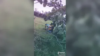 Village Girlfriend Having Outdoor Sex With Her Lover Secretly