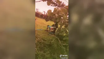 Village Girlfriend Having Outdoor Sex With Her Lover Secretly