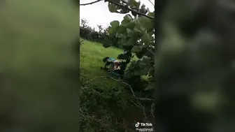 Village Girlfriend Having Outdoor Sex With Her Lover Secretly
