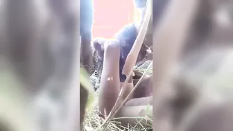 Village Lovers Sucking Tits And Fucking Outdoors In Fields