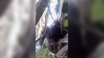 Village Lovers Sucking Tits And Fucking Outdoors In Fields