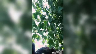 Showing My Tits And Bouncing On Customer Dick For Money