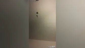 Tamil Girlfriend Sucking And Riding Her Lover In Bedroom