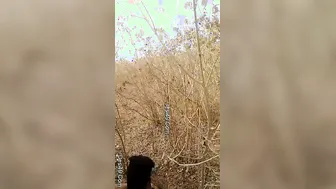 Horny Bhabhi Getting Pounded Outdoors By Young Neighbor Loudly