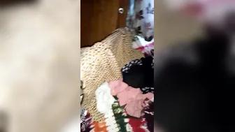 Hot Desi Babe Getting Pounded Hard From Behind In Bedroom