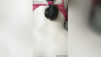 Curvy Desi Wife Taking Hubbys Big Cock From Behind Till Orgasm