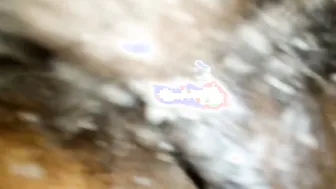 Neighborhood Auntie Getting Creampied Under Blanket In Winter