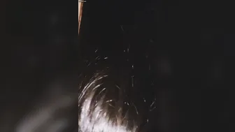 Long Haired Babe Getting Fucked Doggystyle Flaunting Her Beauty