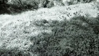 Aunty Getting Railed By The Servant In The Jungle Hiding Out