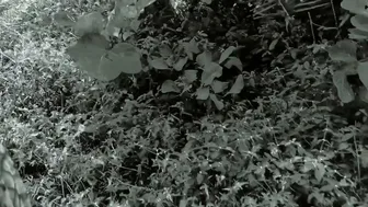 Aunty Getting Railed By The Servant In The Jungle Hiding Out