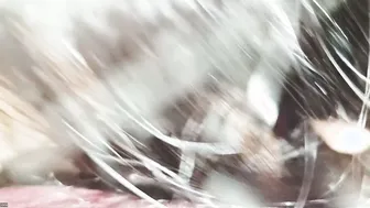 Married Aunty Giving Road Head To Her Lover In Backseat Hookup