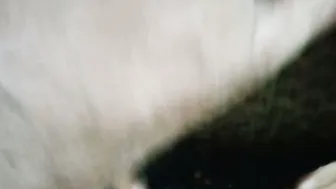 Uncle Getting Handjob From His Wife While Watching Her Friend