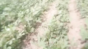 Busty Aunty Teasing Young Boy While Moaning Softly On Camera