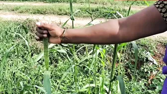 Farmer Aunty Sneaking Outdoors With Village Boy For Quickie