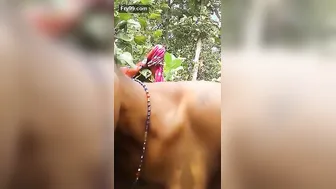 Married Woman Fucking Her Lover Secretly In Farm Fields