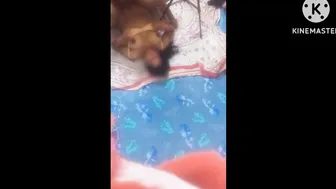 Local Aunty Begging For More During Our Hardcore Bedroom Session