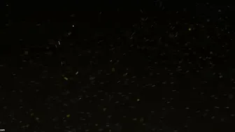 Naughty Aunty Seducing And Fucking Her Young Nephew At Home